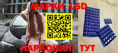spice Новозыбков