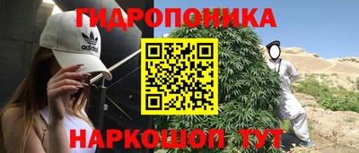 spice Новозыбков